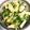 ももちゃんパンダ's cooksnap of when they made 豆苗と三つ葉のサラダ.