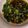 ほったろぅ。's cooksnap of when they made レンジで簡単！ねぎと生姜の万能タレ.