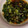 ほったろぅ。's cooksnap of when they made レンジで簡単！ねぎと生姜の万能タレ.