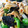  しー's cooksnap of when they made 激ウマ！ナス、ピーマンと豚肉味噌炒め！.