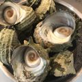 Karikari苺's cooksnap of when they made サザエの下処理.