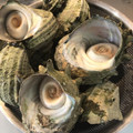 Karikari苺's cooksnap of when they made サザエの下処理.