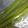 クックT5WEIE☆'s cooksnap of when they made ふきの下ごしらえ&保存（牛乳パック）.