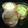 nao/0930's cooksnap of when they made *ふわふわ、しっとりマフィン*.