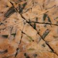 EmikoT's cooksnap of when they made ニラチヂミ.
