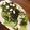 りょーた王子's cooksnap of when they made レタスとキュウリの海苔チーズ乗せサラダ☆.