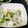 いぐれい's cooksnap of when they made 簡単時短いろいろ野菜の浅漬け.