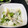 いぐれい's cooksnap of when they made 簡単時短いろいろ野菜の浅漬け.