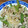neko2mama's cooksnap of when they made 新玉ねぎと細切り豚肉の中華炒め.