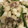 クックL5UGW1☆'s cooksnap of when they made 簡単おつまみ☆大根とにんにくの芽炒め.