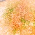 ききゆぽ★'s cooksnap of when they made ✿母の味。東京浅草もんじゃ焼き✿.
