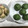 みずほ７４'s cooksnap of when they made おうち時間　よもぎを摘んで草餅を作ろう.