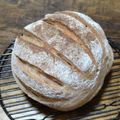 ♡いるか♡'s cooksnap of when they made ドイツ人のお墨付き！ライ麦パン♪.
