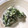 tidagon's cooksnap of when they made うちなー野菜使用。二ガナのまろやか白和え.