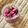 ちゃ〜ず's cooksnap of when they made 色んな料理に使える！桜の花漬け❀✿.