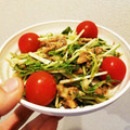 きてぃコ★'s cooksnap of when they made 簡単★さんまの缶詰と水菜のマヨサラダ.