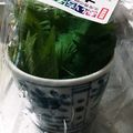ミズタマ♪'s cooksnap of when they made 超おすすめです♡ 大葉の保存方法.