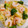 クックVTCMW0☆'s cooksnap of when they made 時短！キャベツとむき海老の中華風.