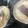 ぺもりん's cooksnap of when they made 筍の茹で方(30分加熱).