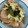 まん！'s cooksnap of when they made 生姜焼きとアボカドの丼.