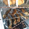 呑兵衛ぇまつ子's cooksnap of when they made 燻製料理店の定番メニュー燻製シシャモ.