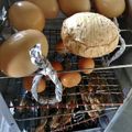 呑兵衛ぇまつ子's cooksnap of when they made 初心者向け☆簡単 燻製おつまみセット.