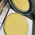 ぽんたな's cooksnap of when they made 抹茶のスポンジケーキ(ジェノワーズ).