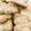 TeaMuffin's cooksnap of when they made パティシエ直伝♪簡単チョコクッキー！.