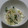 ヨシヨッシー's cooksnap of when they made 大根ときゅうりのツナ和え ごま油風味.