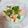 ぽこなす's cooksnap of when they made 超簡単‼ピーマンはんぺん炒め.