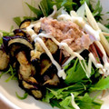 ●これなんだ●'s cooksnap of when they made 水菜と茄子の柚子胡椒サラダ.