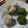 クックRZ5NOS☆'s cooksnap of when they made 木綿豆腐で☆新感覚もちもちスイーツ.