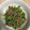 takako06's cooksnap of when they made おつまみに！豆苗とコンビーフ炒め.