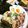 クッキン坊主's cooksnap of when they made ベースパスタ油そば.