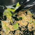 クックKIE7Q1☆'s cooksnap of when they made キャベツと若芽の酢の物.