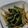 ヨシヨッシー's cooksnap of when they made 簡単！にらともやしのオイスターソース炒め.