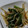 ヨシヨッシー's cooksnap of when they made 簡単！にらともやしのオイスターソース炒め.