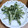クックL2DT1S☆'s cooksnap of when they made 大根の皮☆青海苔と塩のエコ炒め〜.