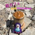 栗丸うさぎ's cooksnap of when they made 豆乳ダルゴナコーヒー.