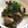 クック8KB7FJ☆'s cooksnap of when they made 鶏レバーのカレー煮.