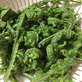 お菓子大好きぃちゃん's cooksnap of when they made 【野菜ソムリエ】こごみの下処理.