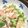 ぱぴろみ's cooksnap of when they made エビとブロッコリーのサラダ.