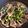 しのざくら's cooksnap of when they made 自家製酢醤油で☆新玉たっぷり鰹のたたき.