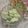 masakohママ's cooksnap of when they made りんごヨーグルトサラダ.