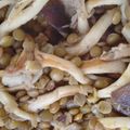 ナヲミンミン's cooksnap of when they made レンズ豆と茸のマリネ.