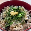 ハピままmama's cooksnap of when they made ご飯が止まらない！胡麻しそ香るしらす丼♪.