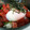 くっくペタ's cooksnap of when they made 簡単確実な温泉卵の作り方.