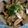 ラムベビー's cooksnap of when they made ５分でランチ！なすきゅう冷麦♪.