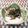 あーこ姐's cooksnap of when they made え…海苔ヨーグルト.