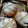 kirinda's cooksnap of when they made もちもち全粒粉パン.